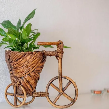 Bressol Deluxe * 포엔샤 항구