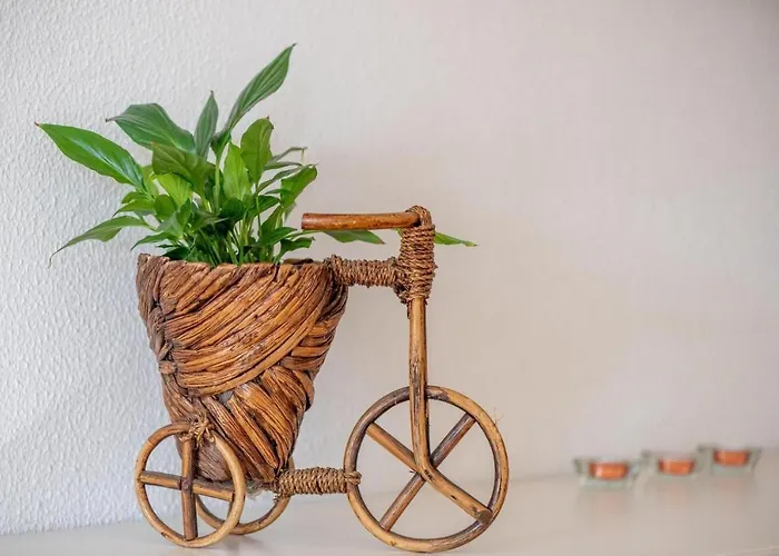 Bressol Deluxe * Port de Pollença